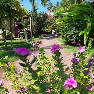 https://hotel-casa-robinson.comcaribbean.com